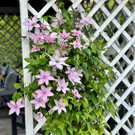 Centrum Fiszer Guest house Szklarska Poreba