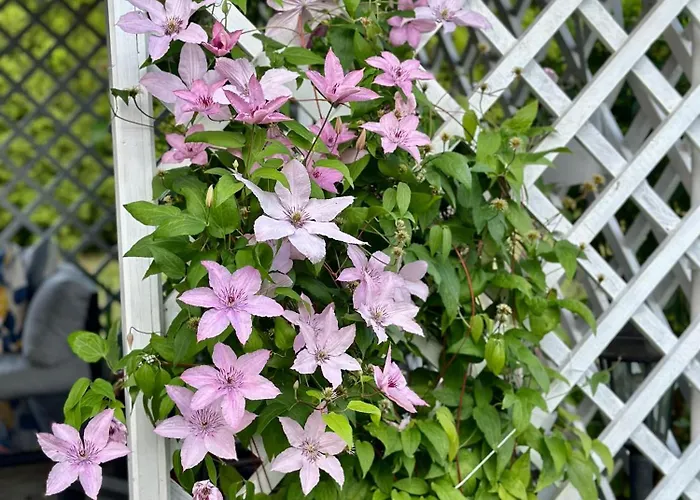 Centrum Fiszer Gasthof Schreiberhau